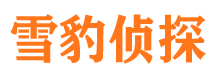 珠山市婚姻调查